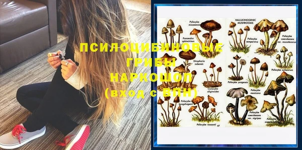 MDMA Белокуриха