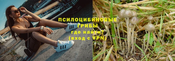 трава Балахна