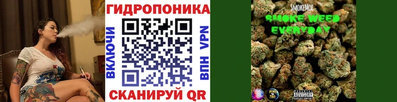 Бошки Шишки семена omg как войти Звенигород наркота